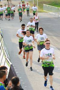 BIB: 1161, 445
                            <button type="button" onclick="openModal(3550984)" class="btn btn-primary btn-sm float-right btn-popup" data-toggle="modal" data-target=".modal-high-quality">
                        <i class="fas fa-shopping-cart"></i> Add to Cart
                    </button>
                                            <button type="button" onclick="isThisMe(3550984, true)" class="btn btn-success btn-sm float-right btn-popup btn-isme hidden" data-toggle="tooltip" data-placement="bottom" title="นี่คือรูปของคุณใช่ไหม คลิกที่นี่เพื่อเอาเข้าอัลบั้ม">
                        <i class="fas fa-plus"></i> Add to album
                    </button>
                    <button type="button" onclick="isThisMe(3550984, false)" class="btn btn-warning btn-sm float-right btn-popup btn-isnotme hidden">
                        <i class="fas fa-ban"></i> Remove from album
                    </button>